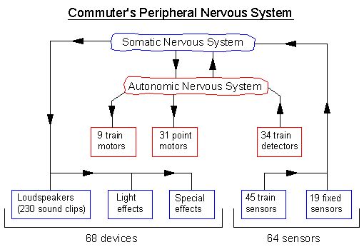 Commuter's peripheral nervous system